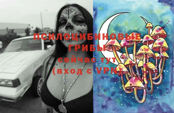 гидра Нефтегорск