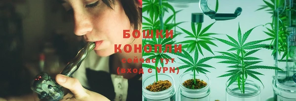 винт Новозыбков