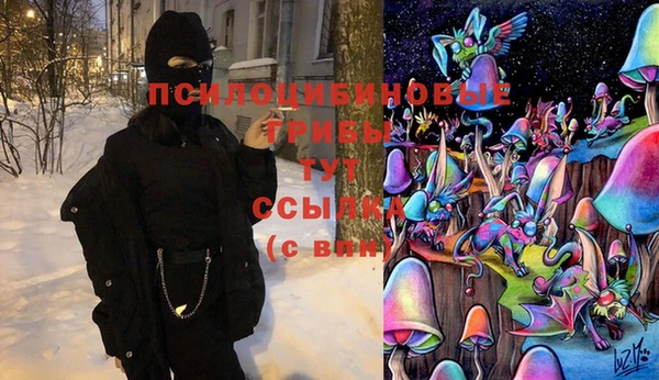тгк Нея