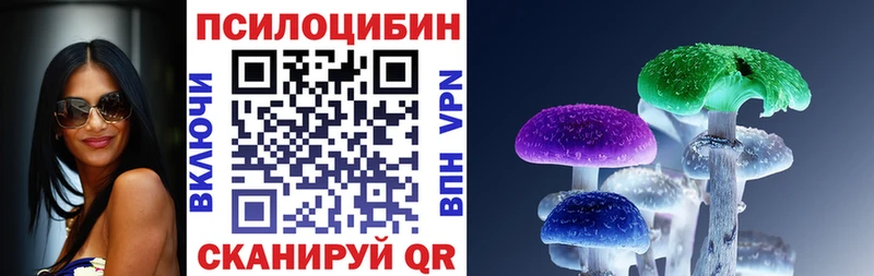 Купить закладки  Полевской  Псилоцибиновые грибы мицелий 