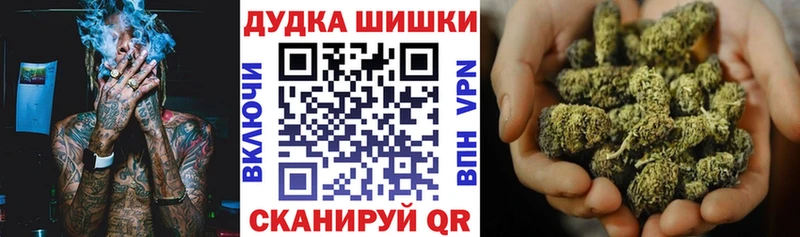 Купить где  Полевской  Канабис ГИДРОПОН 